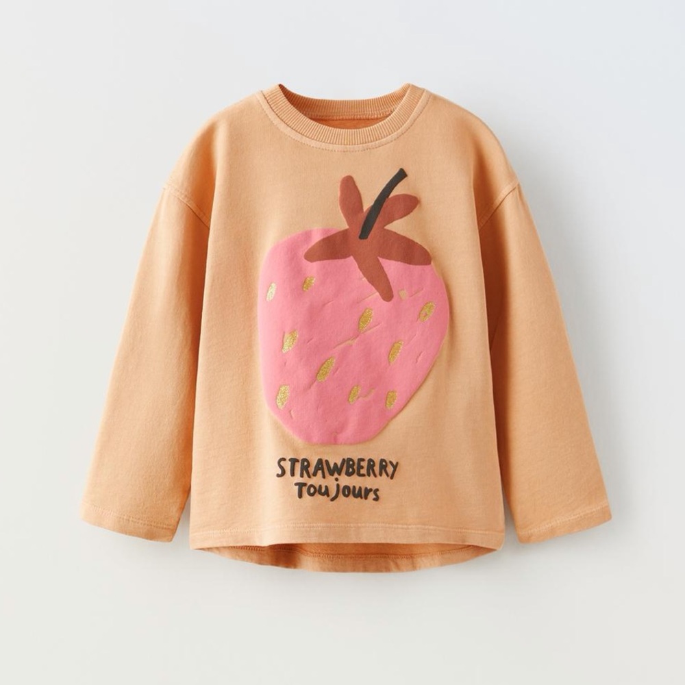 Zara 2-3Y strawberry toujours long sleeve shirt